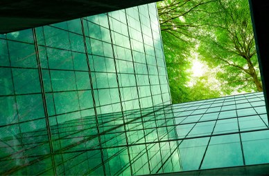 Center of a glass building looking up into sunlight and trees