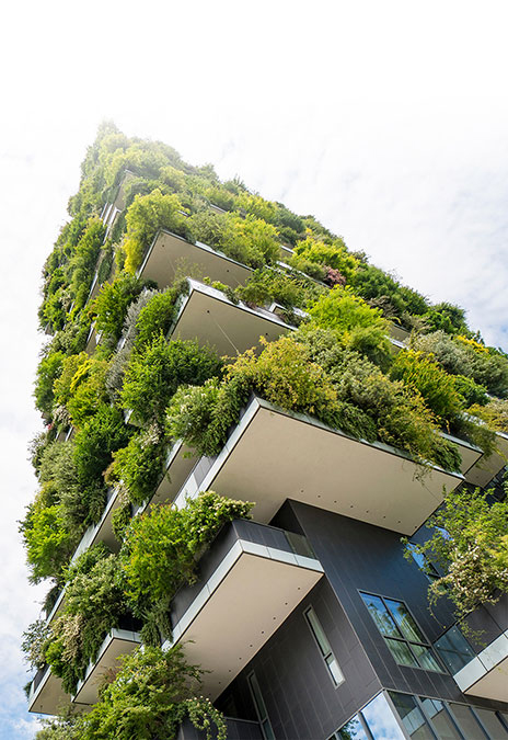 single building with greenery on balconies