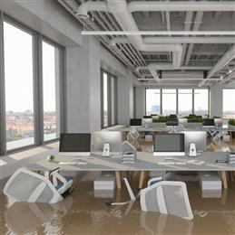 Disaster Response: My Building Flooded...What Do I Do (Skills On-demand)