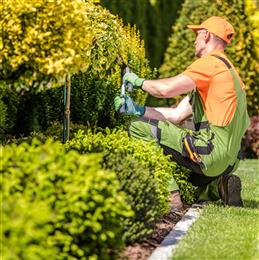 Take the Guesswork Out of Landscape Maintenance: Easily Budget & Plan for Every Season (Skills On-demand)
